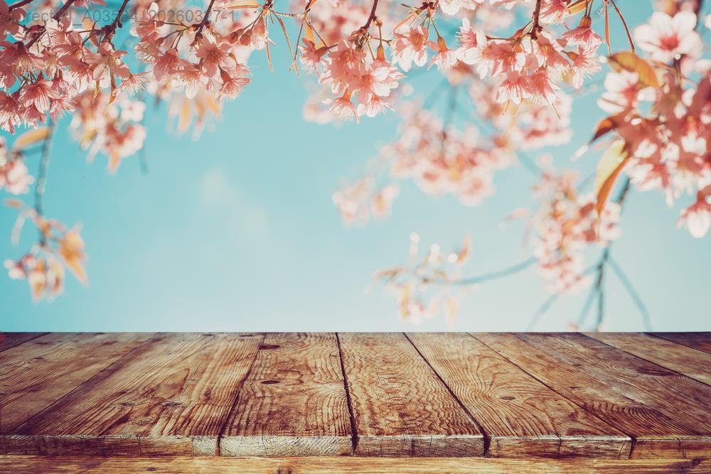 當投資變成冒險：你不該踩進的地緣旋渦陷阱產品圖